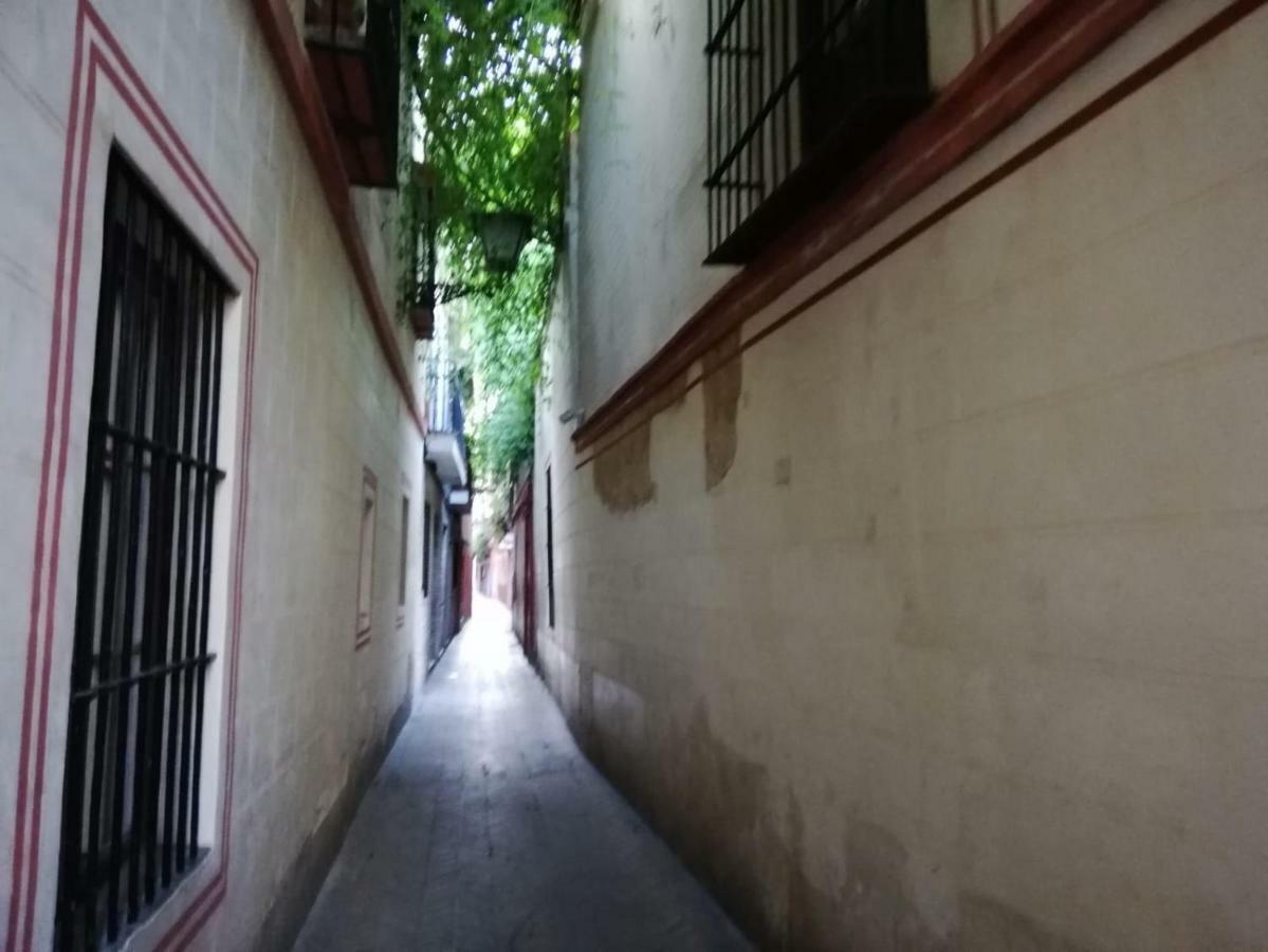 Apartamento En La Juderia De Sevilla מראה חיצוני תמונה